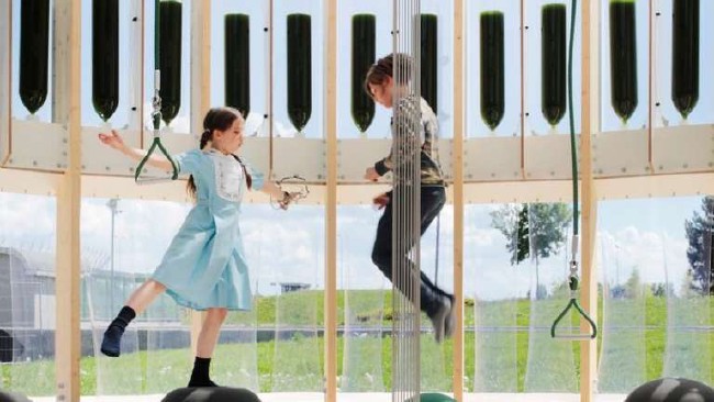 Children's play centre uses algae to clean the air