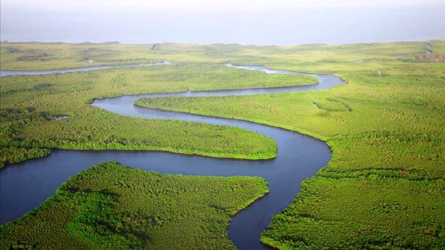 Africa's Great Green Wall aims to grow a natural wonder