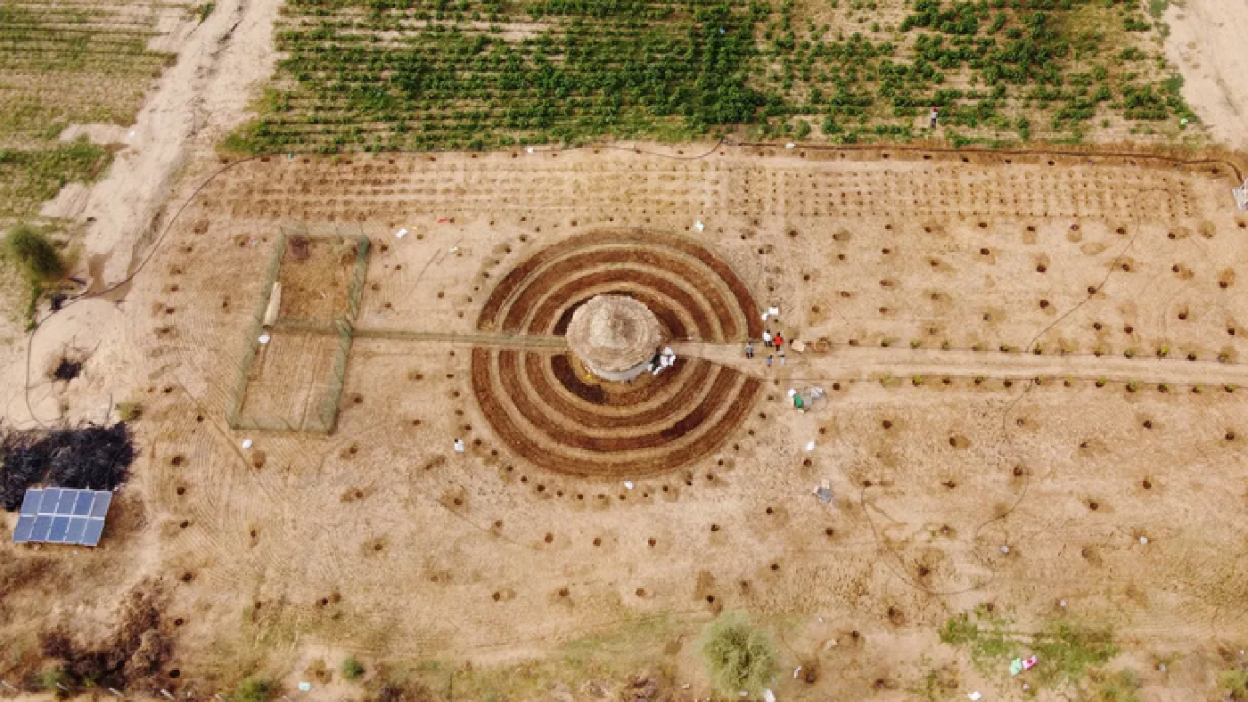 Local project in Senegal creates circular gardens to boost food security
