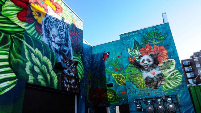 🎨 Cleaning the Air With Graffiti and Generating Power From Cocoa Waste