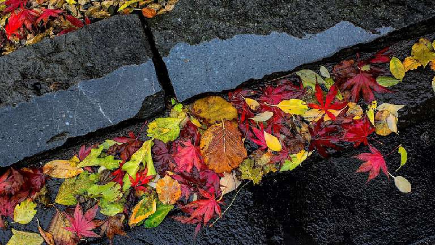 A new pavement technology redirects water into the ground