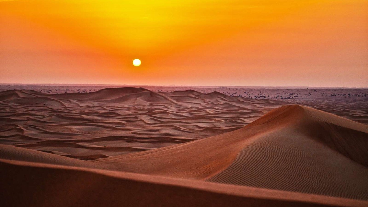 🥭 Desert Food and Tyre Furniture