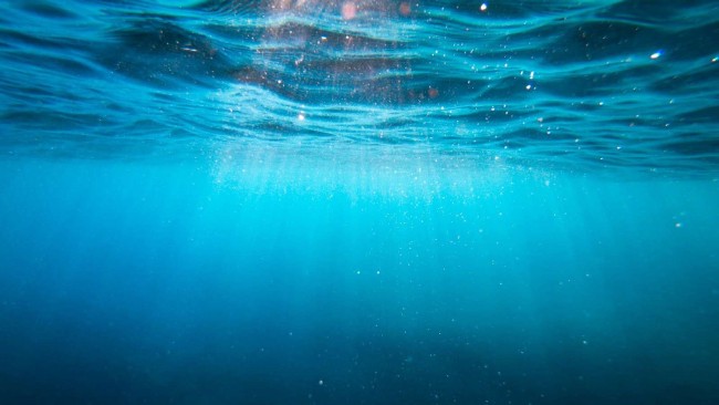 🐞 Gardening Underwater and Replacing Pesticides With Laser Beams